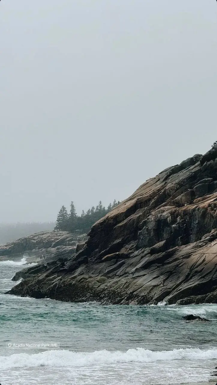 Waves washing against a rugged granite coastline and misty pines in Acadia National Park