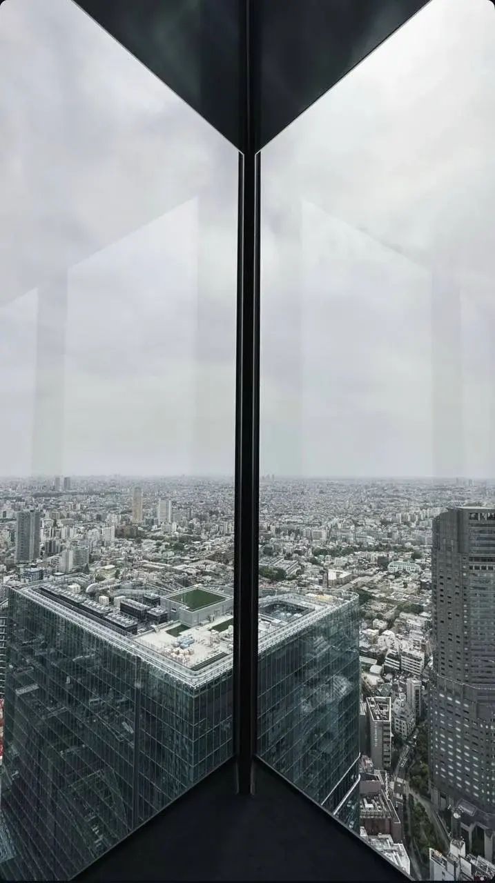 A sprawling city viewed through the angular corner of a high-rise window