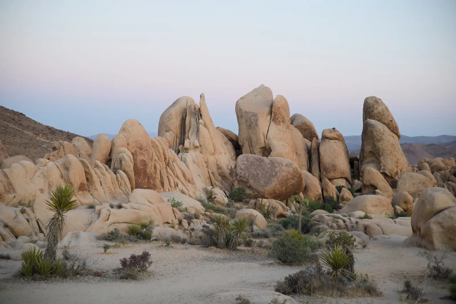 Desert granite formations and Joshua trees beneath a pastel dusk sky