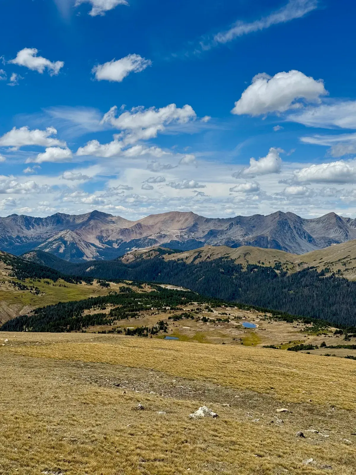 Rolling alpine meadows and forested valleys below a rugged mountain range
