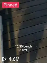 Pinned TikTok preview of 10/10 bench in NYC with 4.6M views